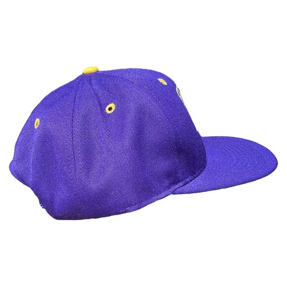 Vtg DeLONG Houston Sports Astros Baseball purple yellow SnapBack Hat Med/Lrg - Picture 3 of 8